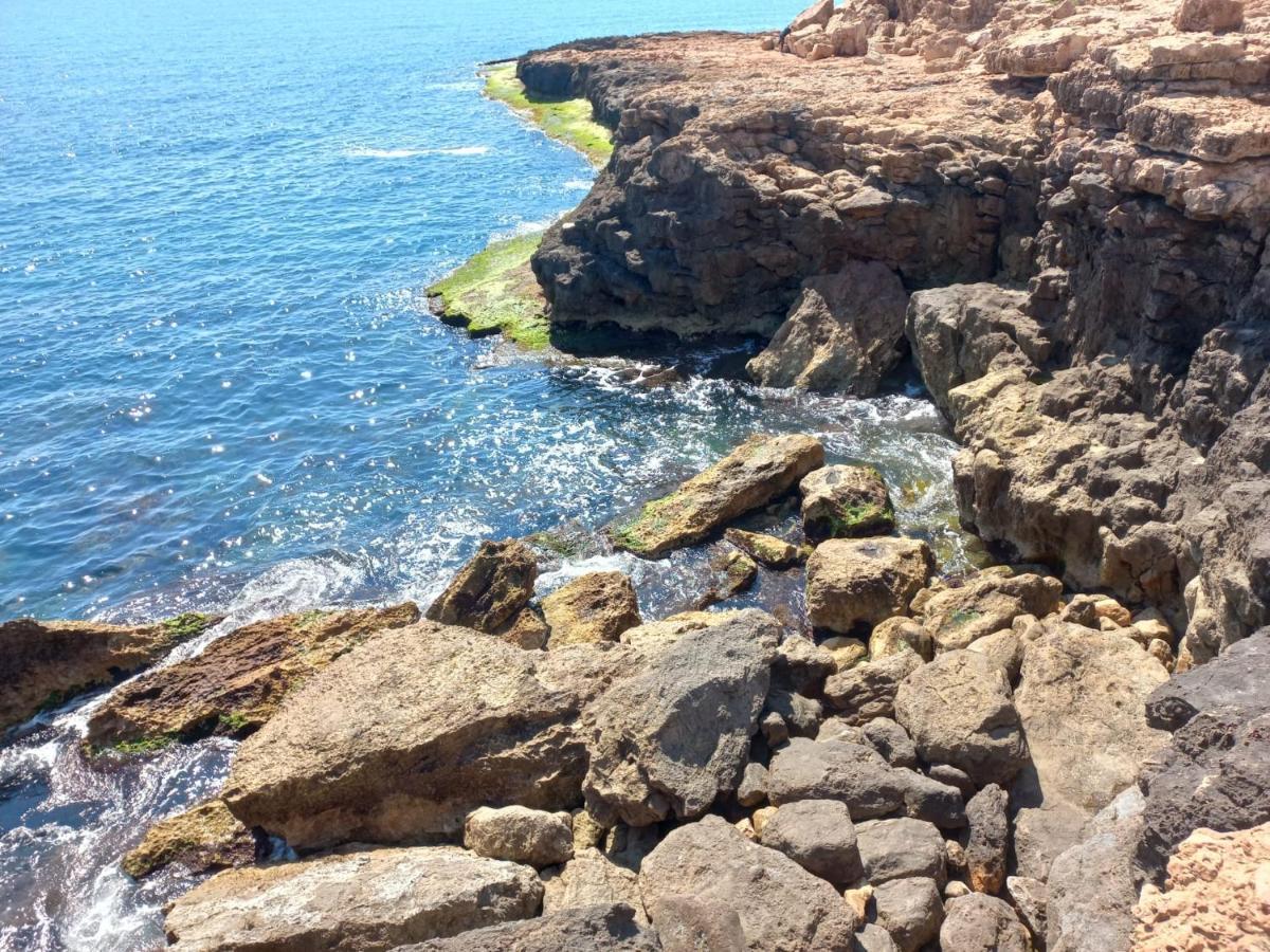 Apartment Only 250m From The Locos Torrevieja